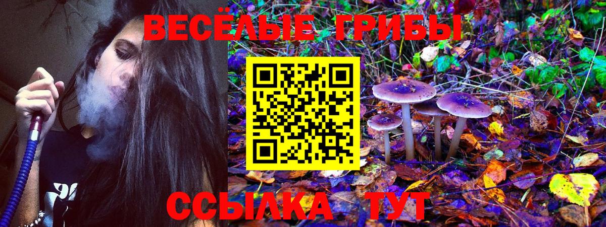 Заринск  Галлюциногенные грибы ЛСД  Вход с VPN  Псилоцибиновые грибы Psilocybine cubensis 